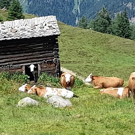 Grofn Casa vacanze *